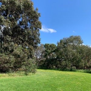 Meet your Posher, Yan